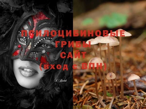 бошки Абинск