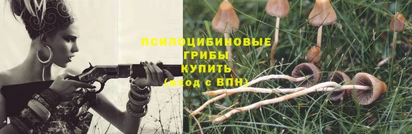 МДПВ Абдулино
