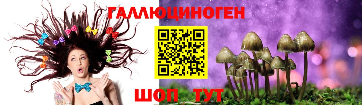ГАШ  Бошки Шишки  МЕФ кристаллы  COCAIN  Донской  Вход с VPN  MDMA 