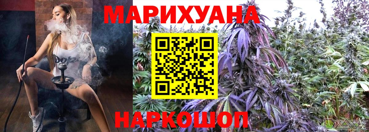 МАРИХУАНА конопля Донской